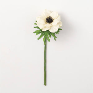 Anemone Stem