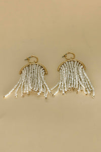 Exaggerated Seed Bead Tassel Boho Earrings