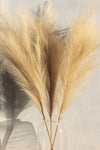 Large Cream Faux Pampas Grass - 3 Stems