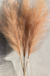 Large Beige Faux Pampas Grass - 3 Stems