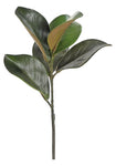 23" Magnolia Leaf Spray