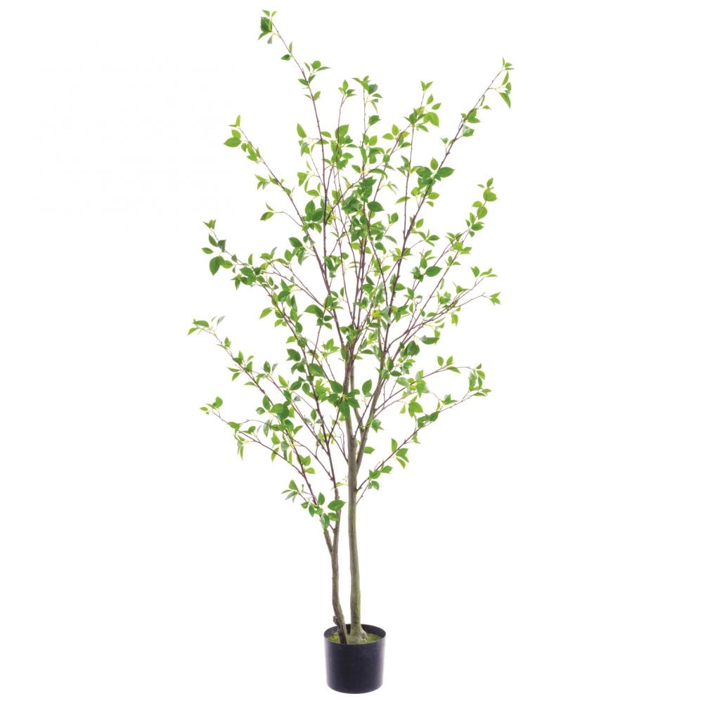 60″ Faux Cornus Tree in Nursery Pot