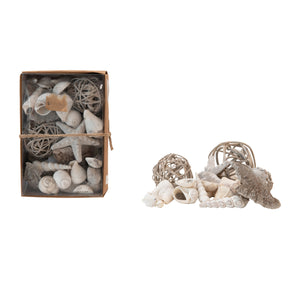 Assorted Shells and Rattan Orbs in Kraft Box