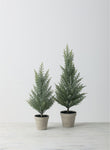 Mini Cedar Trees Set